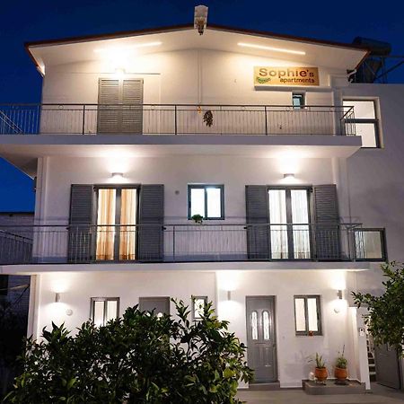 Sophie'S Apartments 3&4 Poros Town Extérieur photo